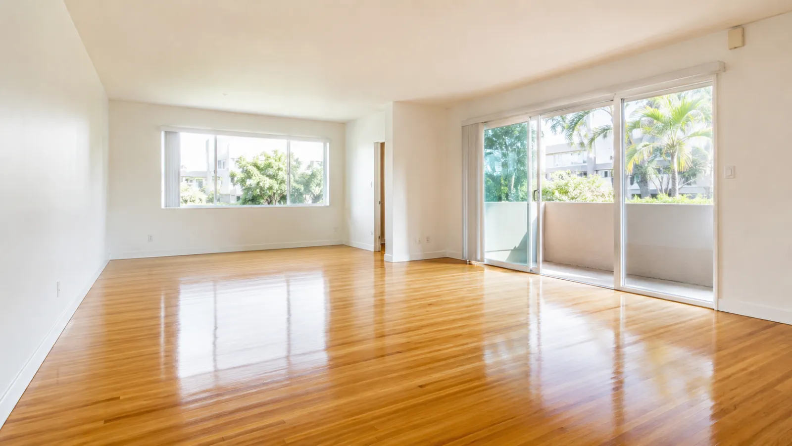 Pro Shine Elite completed move-out clean, San Diego living room